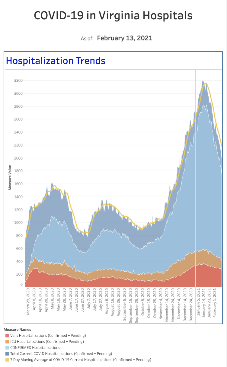 hospitalization numbers 021321